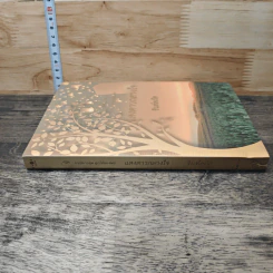 หนังสือ แสงดาวกลางใจ รูปที่ 2