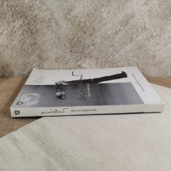 เท่าดวงอาทิตย์ - ประภาส ชลศรานนท์ รูปที่ 3