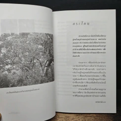 หนังสือ ไม้พื้นบ้านไทย รูปที่ 8