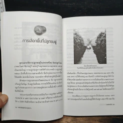 หนังสือ ทองสามสี ชมพู่ยักษ์นอกฤดูเงินล้าน - นิด ชากังราว รูปที่ 8