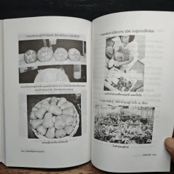 หนังสือ ทองสามสี ชมพู่ยักษ์นอกฤดูเงินล้าน - นิด ชากังราว รูปที่ 9