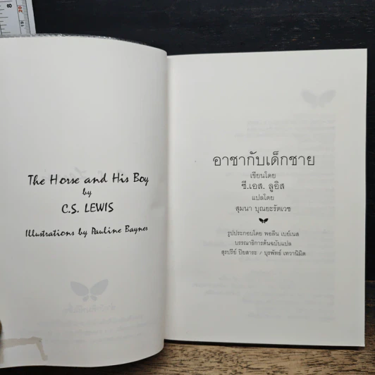 อาชากับเด็กชาย - สุมนา บุณยะรัตเวช รูปที่ 6