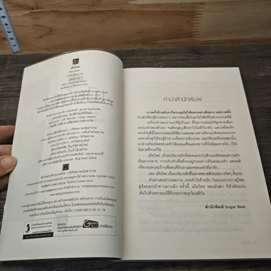 เมียใหม่ - มันตา รูปที่ 6