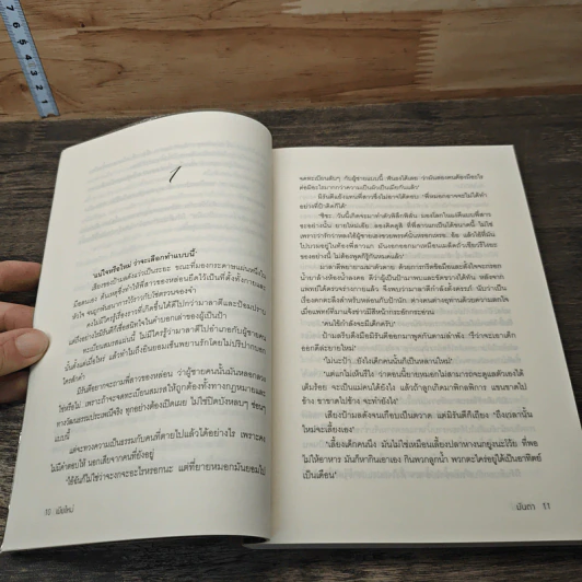 เมียใหม่ - มันตา รูปที่ 7
