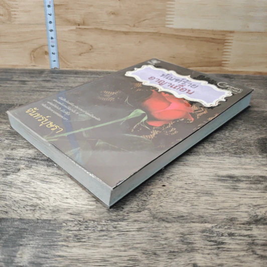 หนังสือ ทัณฑ์ร้ายอาญาเถื่อน รูปที่ 3