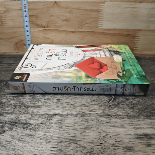 หนังสือ ตามรักหักทระนง รูปที่ 2