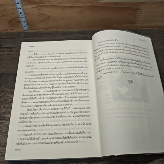 เงาใจในไอดิน - มารีอา รูปที่ 8