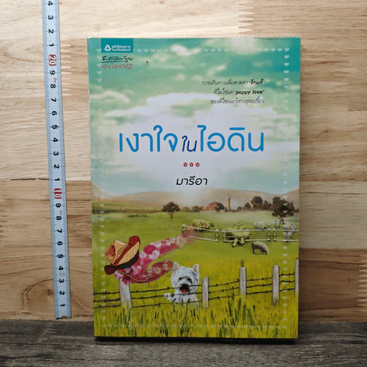 เงาใจในไอดิน - มารีอา รูปที่ 1