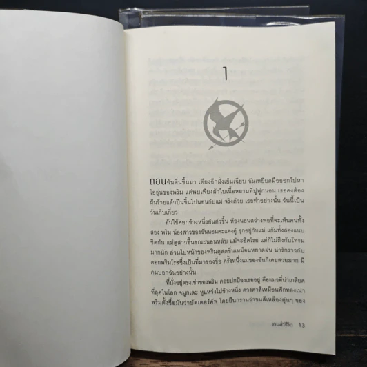 The Hunger Games รูปที่ 6
