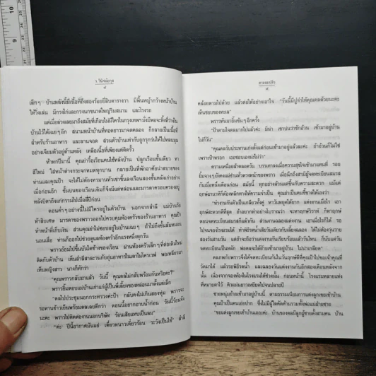 ตามลมปลิว รูปที่ 8