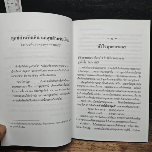 ทุกข์สำหรับเห็น แต่สุขสำหรับเป็น รูปที่ 9