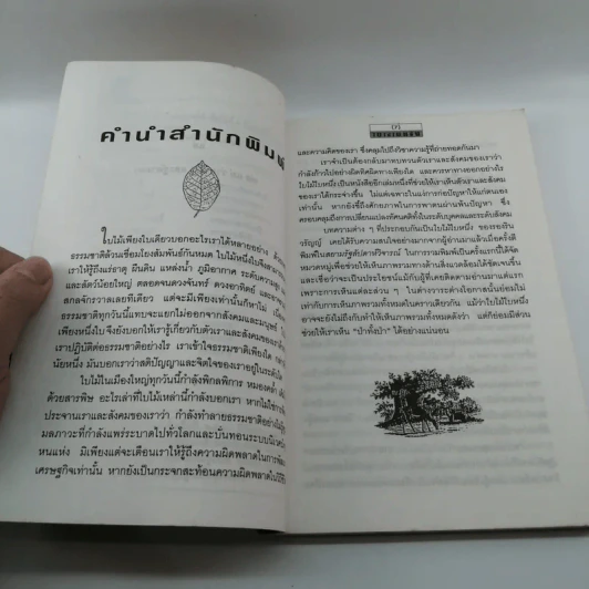 ใบไม้ใบหนึ่ง - รองริน วรัญญ์ รูปที่ 9
