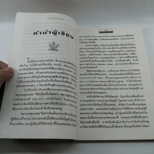 ใบไม้ใบหนึ่ง - รองริน วรัญญ์ รูปที่ 10