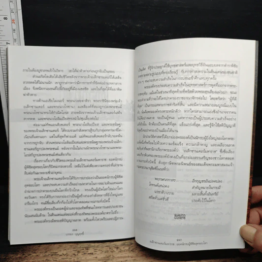 อเล็กซานเดอร์มหาราช ยอดนักรบผู้พิชิตสุดขอบโลก รูปที่ 8
