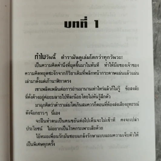 เพลิงไผ่ - อุปถัมภ์ กองแก้ว รูปที่ 6