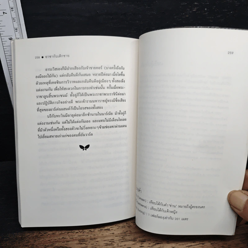 อาชากับเด็กชาย - สุมนา บุณยะรัตเวช รูปที่ 9