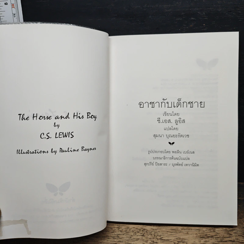 อาชากับเด็กชาย - สุมนา บุณยะรัตเวช รูปที่ 6