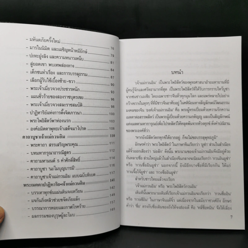 เจ้าแม่กวนอิม พระอวโลกิเตศวรโพธิสัตว์ - สมพงษ์ บัวแย้ม รูปที่ 9