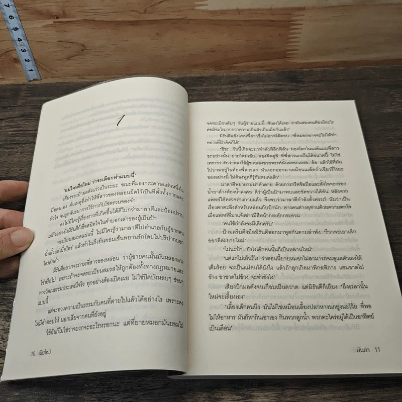 เมียใหม่ - มันตา รูปที่ 7