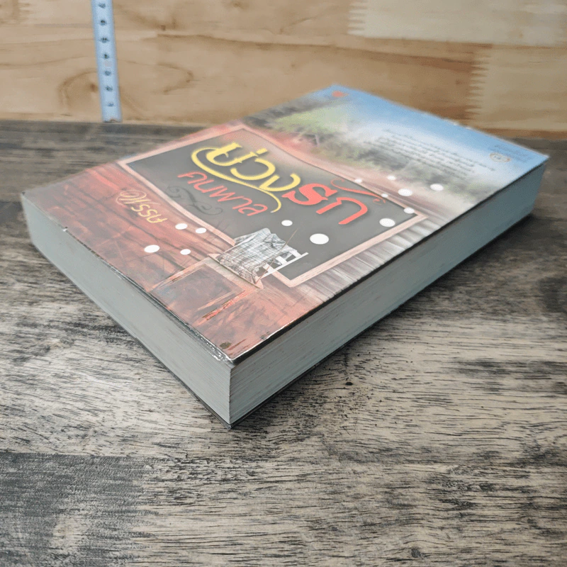 หนังสือ บ่วงรักคนพาล รูปที่ 3
