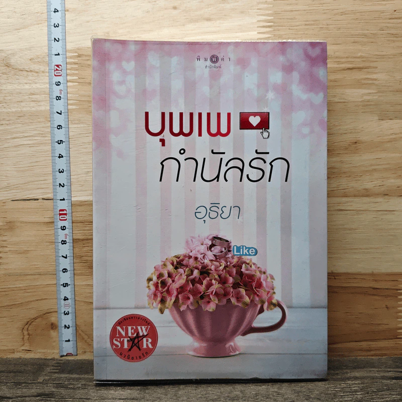 บุพเพกำนัลรัก - อุธิยา รูปที่ 1