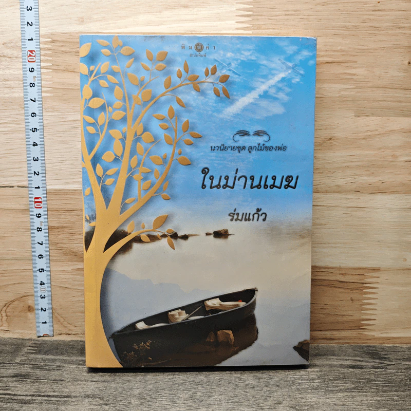 ในม่านเมฆ รูปที่ 1