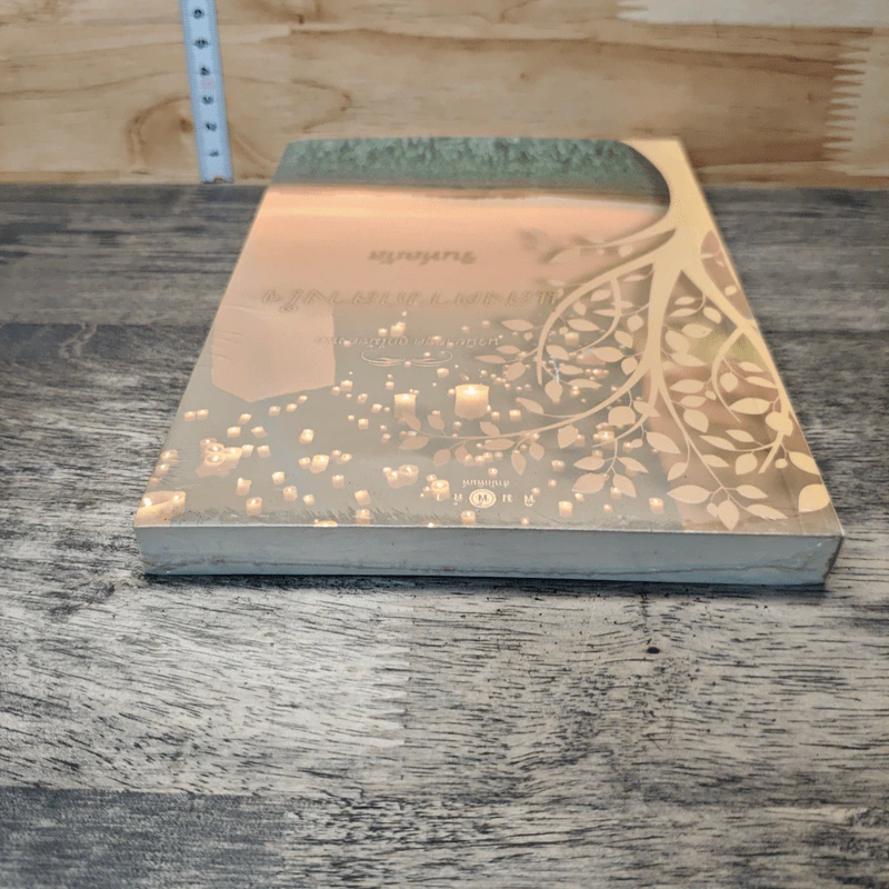 หนังสือ แสงดาวกลางใจ รูปที่ 4