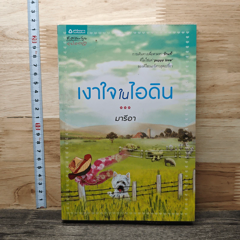 เงาใจในไอดิน - มารีอา รูปที่ 1