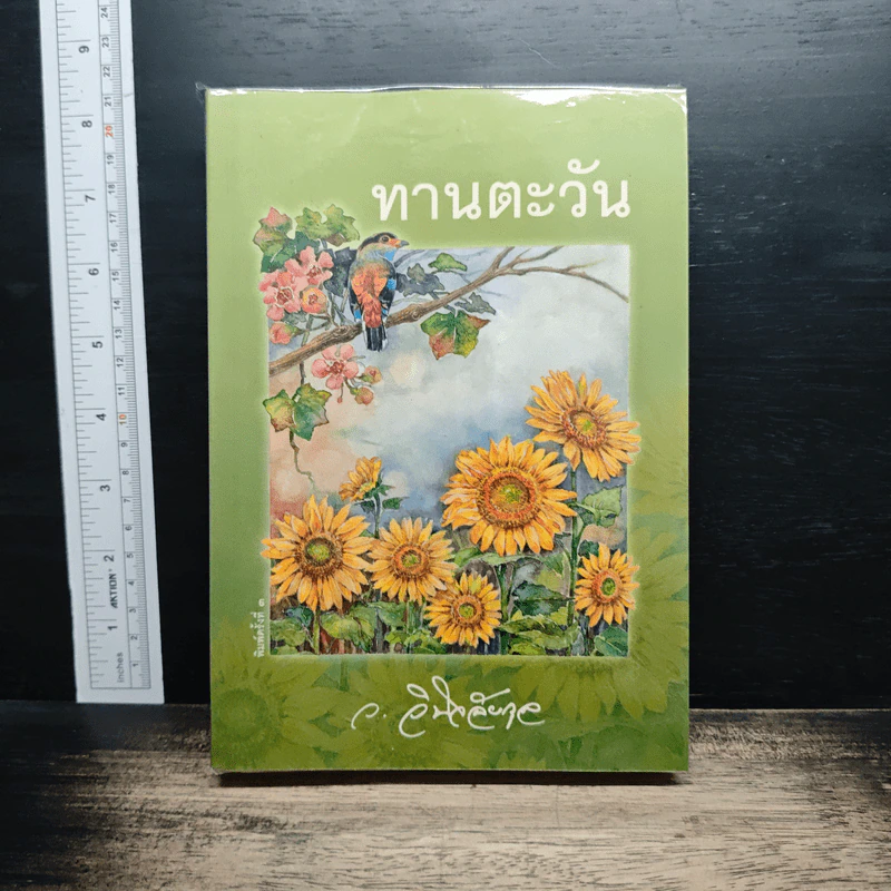 ทานตะวัน รูปที่ 1