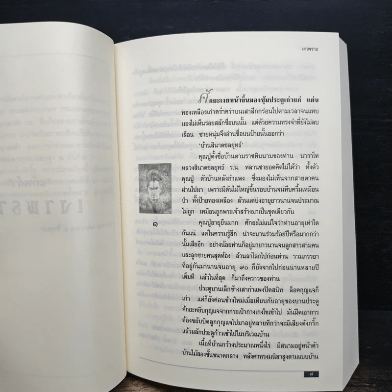 เงาพราย - แก้วเก้า รูปที่ 7