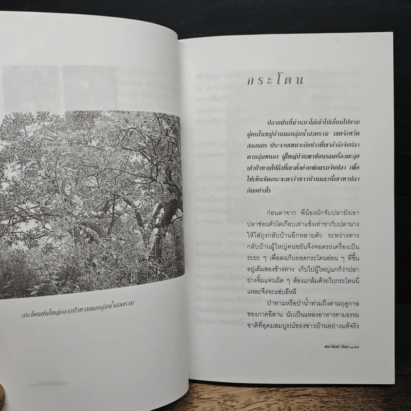 หนังสือ ไม้พื้นบ้านไทย รูปที่ 8