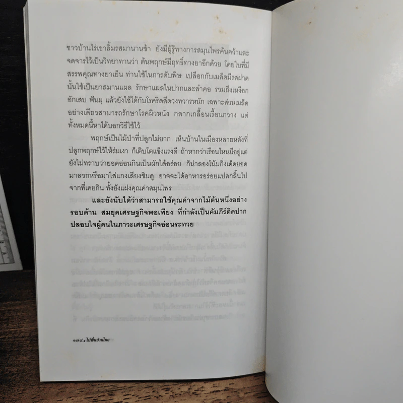 หนังสือ ไม้พื้นบ้านไทย รูปที่ 9