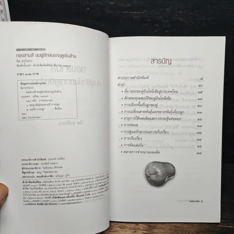 หนังสือ ทองสามสี ชมพู่ยักษ์นอกฤดูเงินล้าน - นิด ชากังราว รูปที่ 6