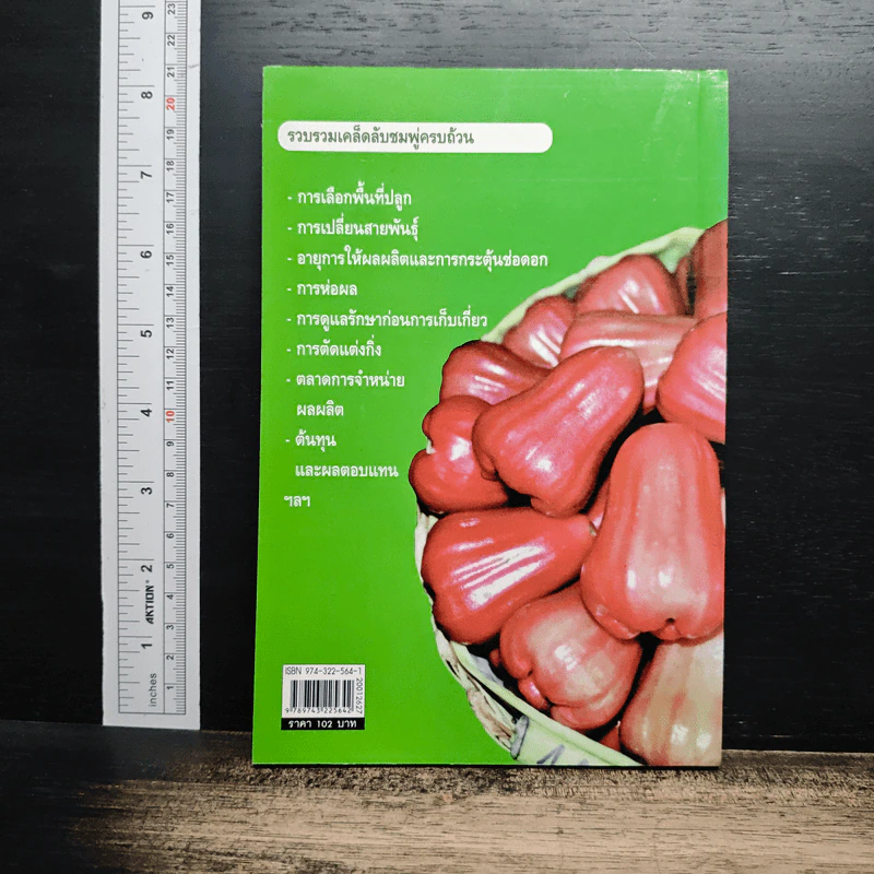 หนังสือ ทองสามสี ชมพู่ยักษ์นอกฤดูเงินล้าน - นิด ชากังราว รูปที่ 2