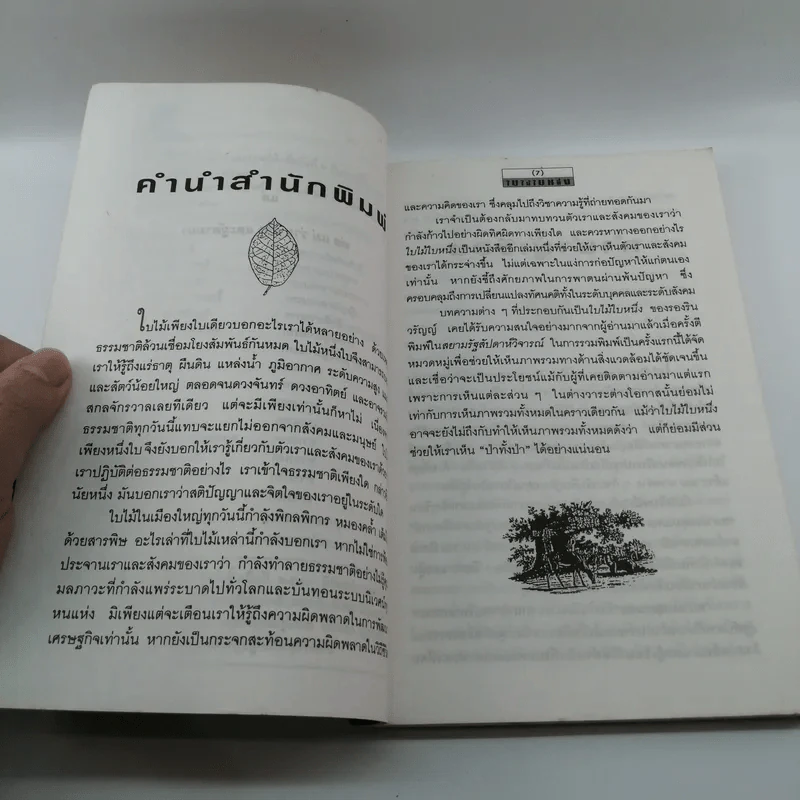 ใบไม้ใบหนึ่ง - รองริน วรัญญ์ รูปที่ 9