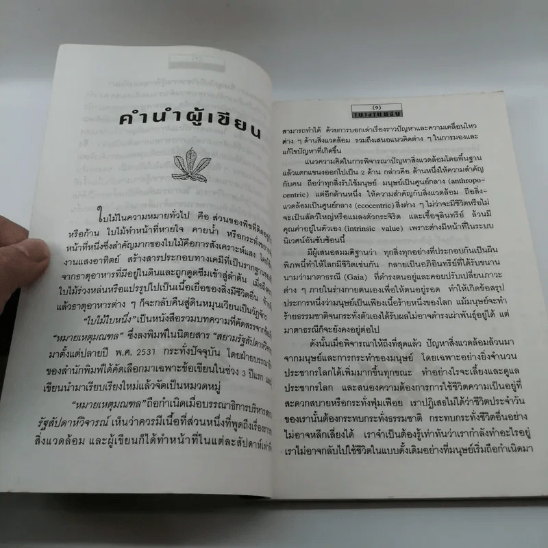 ใบไม้ใบหนึ่ง - รองริน วรัญญ์ รูปที่ 10