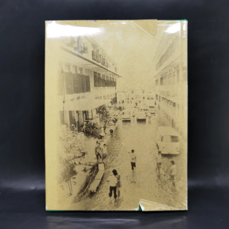 โครงการระบายน้ำเพื่อขจัดปัญหา น้ำท่วมบริเวณโรงพยาบาลศิริราชในพระราชดำริ รูปที่ 2