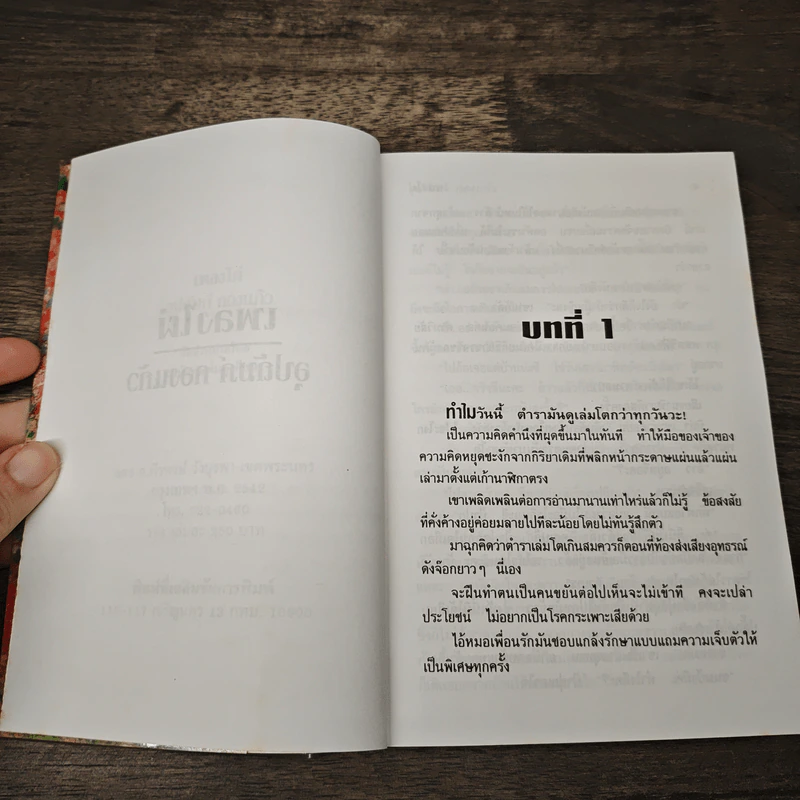 เพลิงไผ่ - อุปถัมภ์ กองแก้ว รูปที่ 5