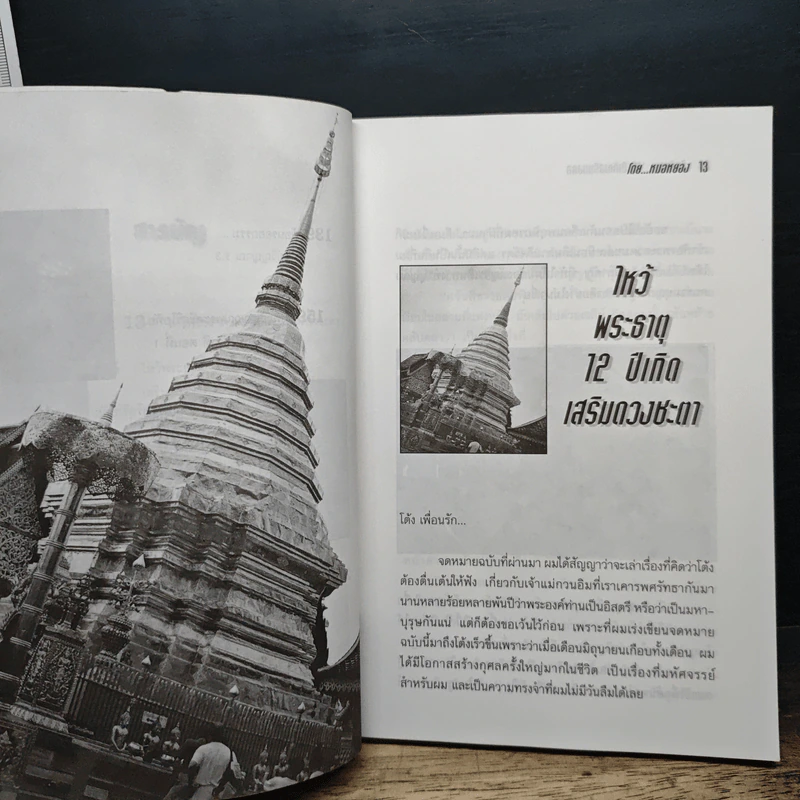 หนังสือ ไหว้พระเสริมมงคล 12 ปีเกิดกับหมอหยอง รูปที่ 8