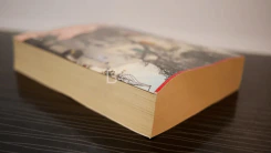 ฉันรักคาปรี - สมปรารถนา ประกอบสันติสุข แปล รูปที่ 5