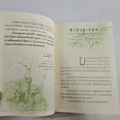 Boxset เพชรพระอุมา 48 เล่มจบ รูปที่ 17