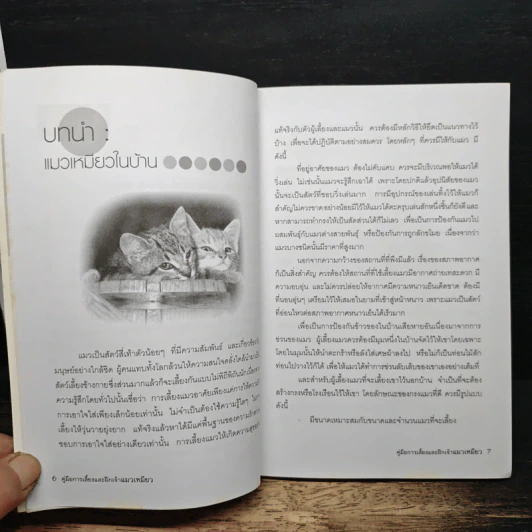 คู่มือการเลี้ยงและฝึกเจ้าแมวเหมียว รูปที่ 8