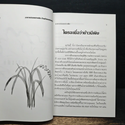 อาหารปลอดสารพิษ ร้านค้าและแหล่งผลิต รูปที่ 10