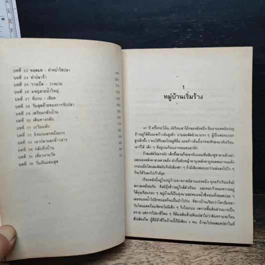 ลูกอีสาน - คำพูน บุญทวี รูปที่ 8