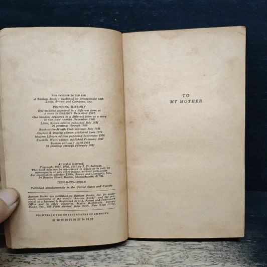The Catcher in the Rye - J. D. Salinger รูปที่ 6