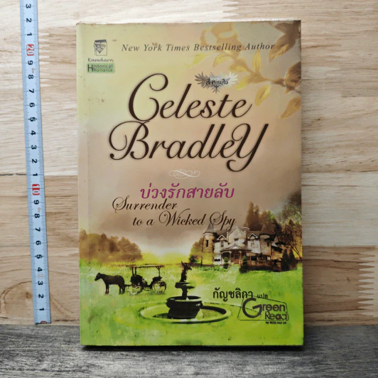 บ่วงรักสายลับ รูปที่ 1