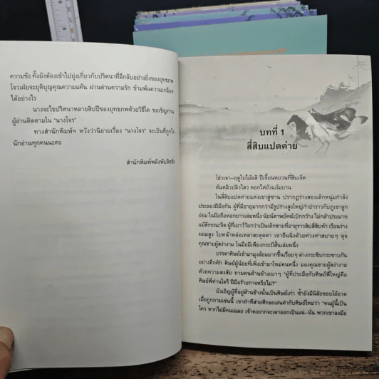 นางโจร 6 เล่มจบ - Priest รูปที่ 7