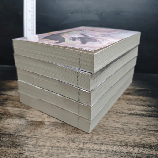 หนังสือ นิยายเรื่องนี้ข้าไม่ได้เขียน 5 เล่มจบ รูปที่ 3