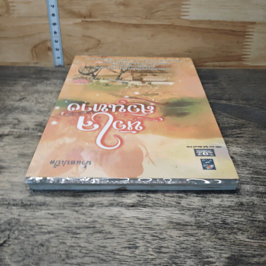 หนังสือ หัวใจสวนทาง รูปที่ 4