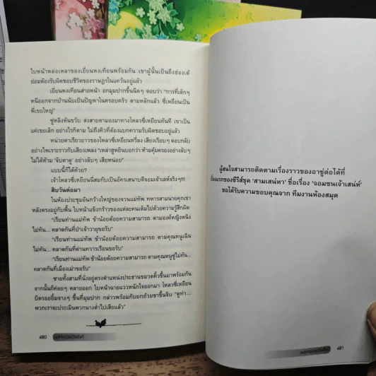 เพชรยอดบัลลังก์ 3 เล่มจบ รูปที่ 10